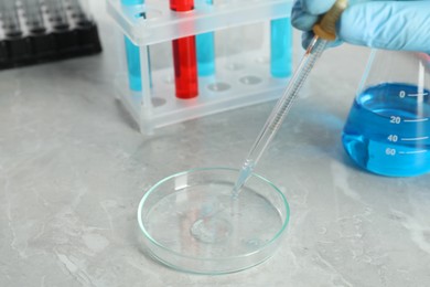 Scientist dripping liquid from pipette into petri dish at grey marble table, closeup