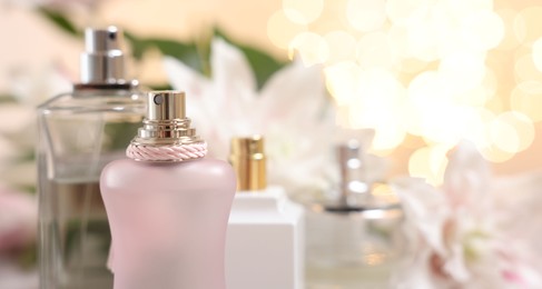 Bottles of perfume against beautiful lily flowers and blurred lights, closeup. Space for text