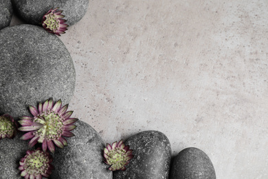 Photo of Spa stones and astrantia flowers on grey table, flat lay. Space for text