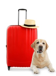 Cute dog and bright suitcase packed for journey on white background. Travelling with pet
