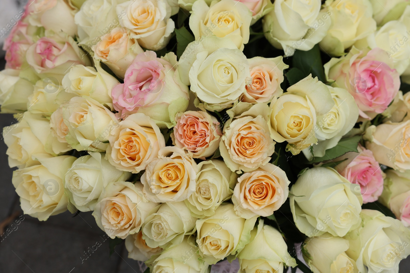 Photo of Bouquet of different beautiful roses, closeup view