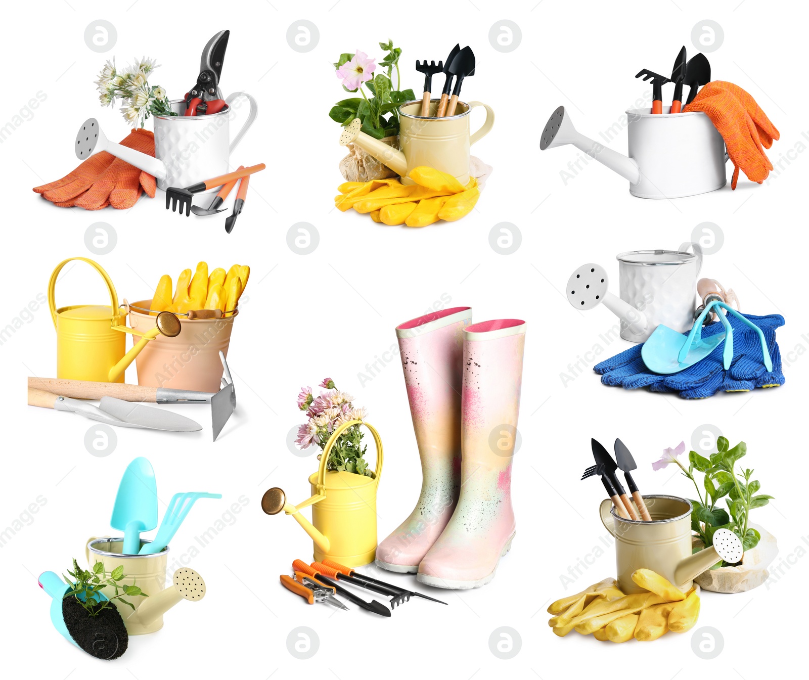 Image of Set with watering cans and different gardening tools on white background
