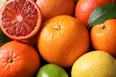 Photo of Different ripe citrus fruits as background, closeup