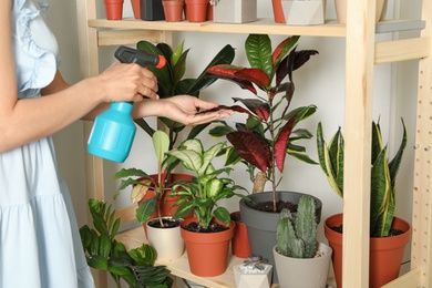 Photo of Woman spraying indoor plants near wall at home, closeup