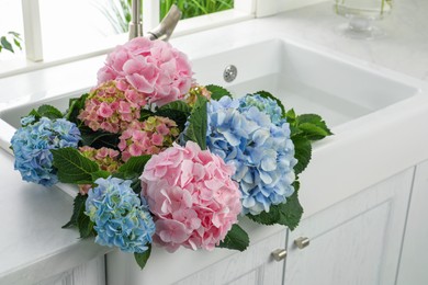 Photo of Beautiful light blue and pink hortensia flowers in kitchen sink. Space for text