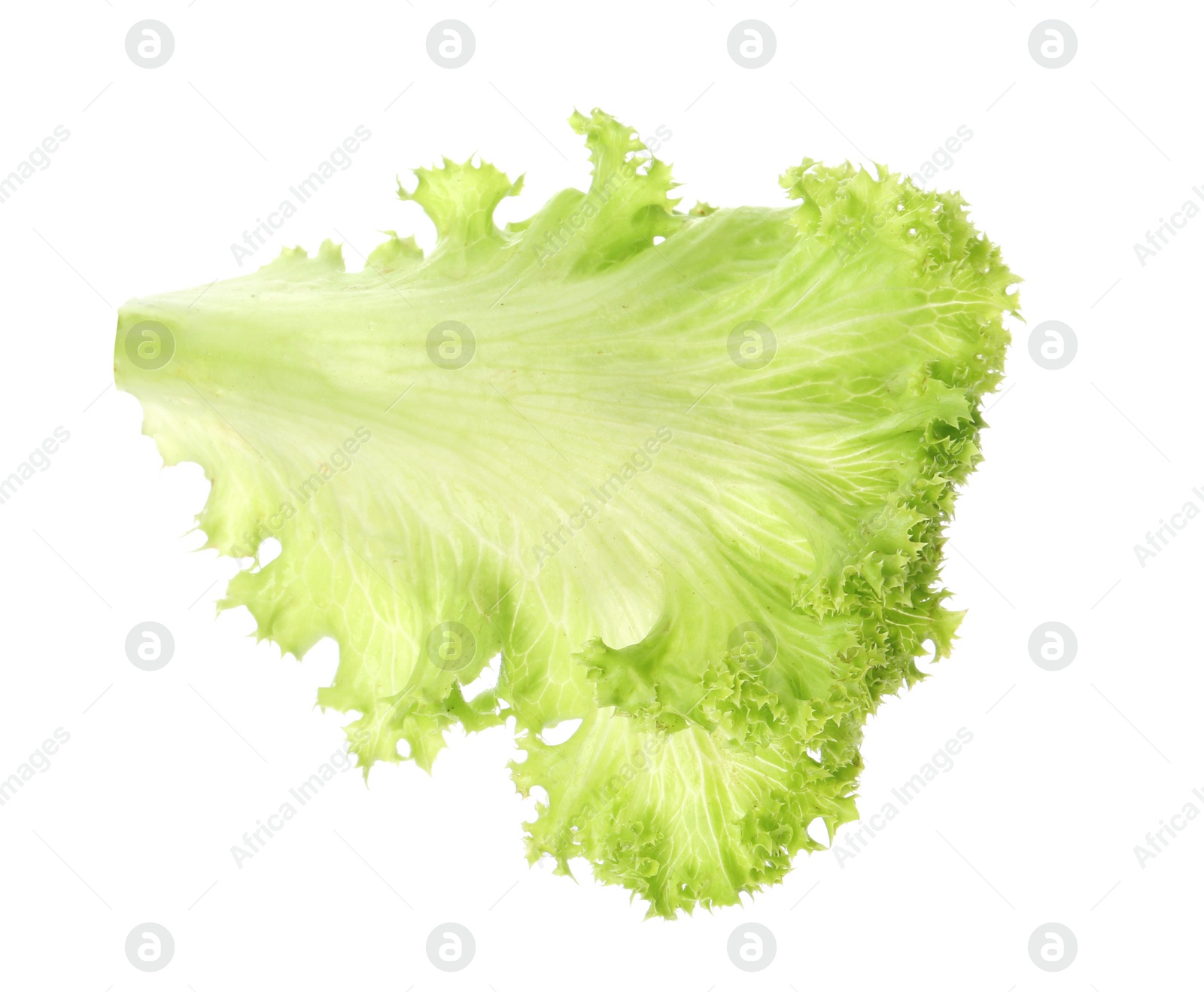 Photo of Fresh green lettuce leaf on white background