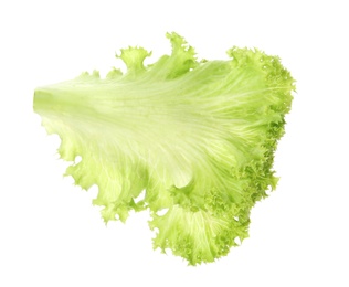 Fresh green lettuce leaf on white background