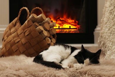 Photo of Adorable cat sleeping on furry rug near fireplace in room. Cozy atmosphere