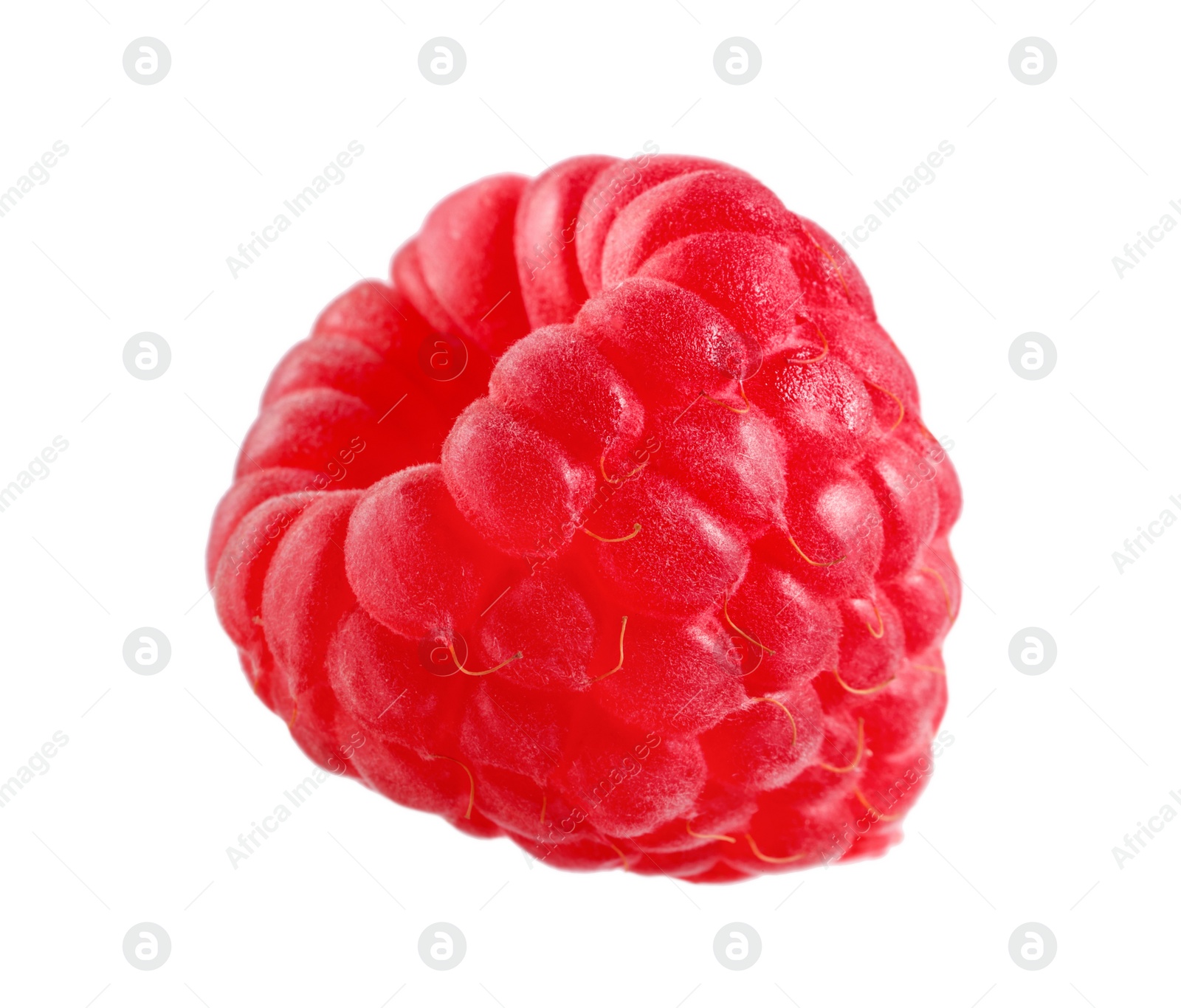 Photo of One tasty ripe raspberry isolated on white