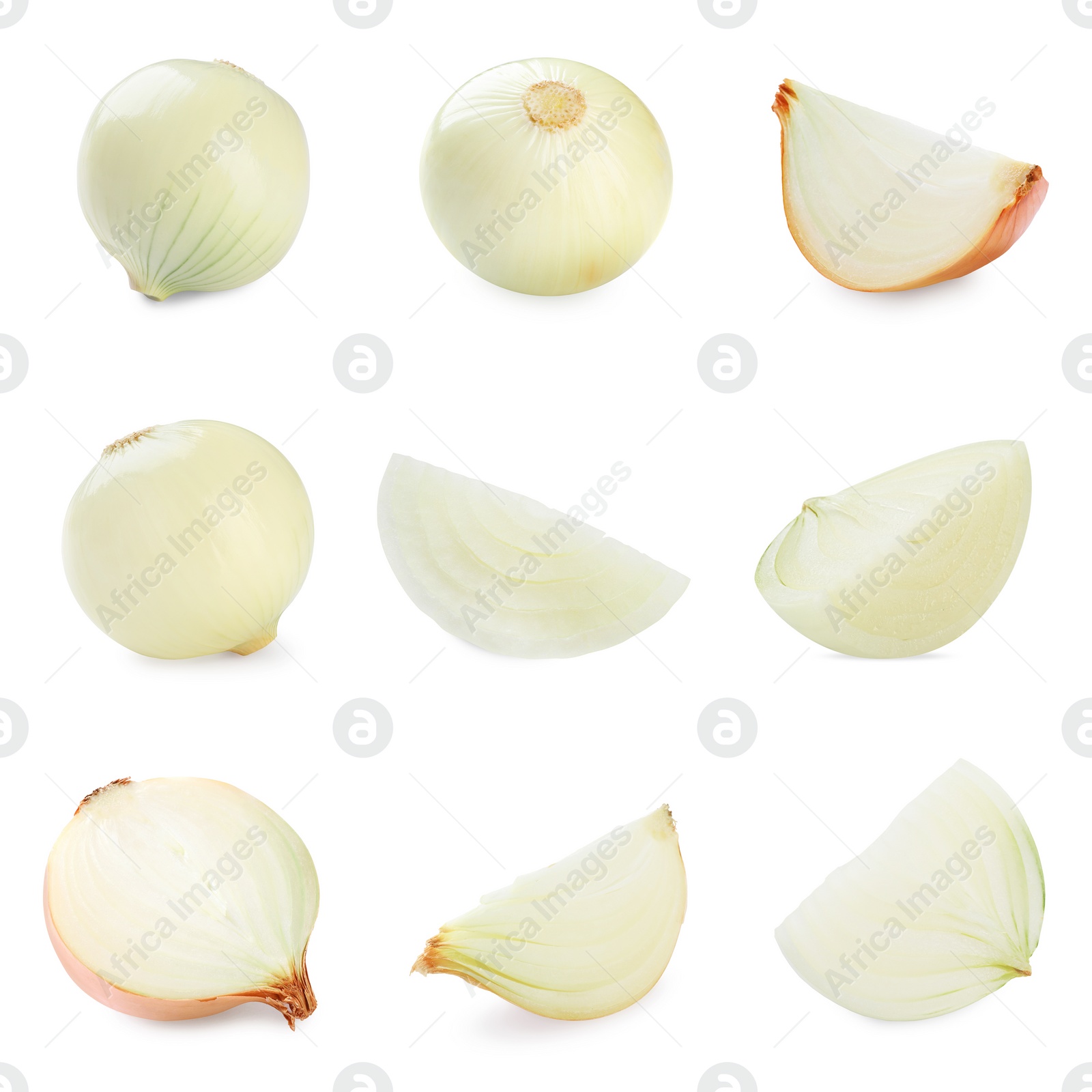 Image of Collage with fresh onions on white background