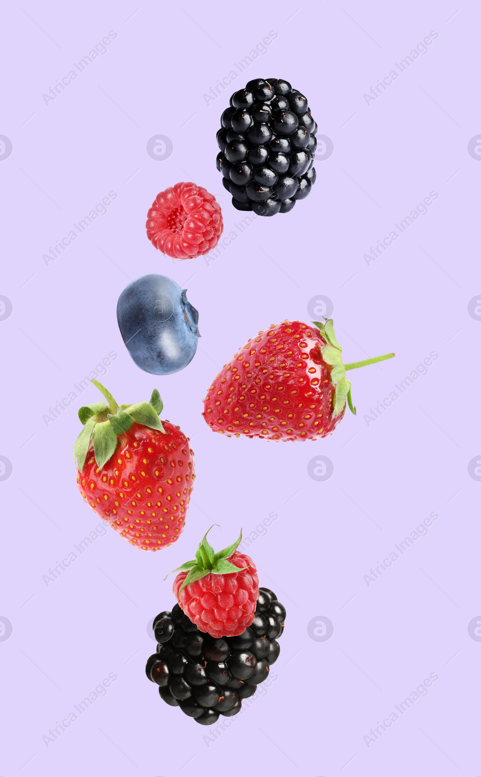 Image of Blackberries, blueberry, strawberries and raspberries falling on light violet background