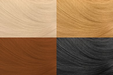 Image of Color hair samples palette, closeup view. Collage