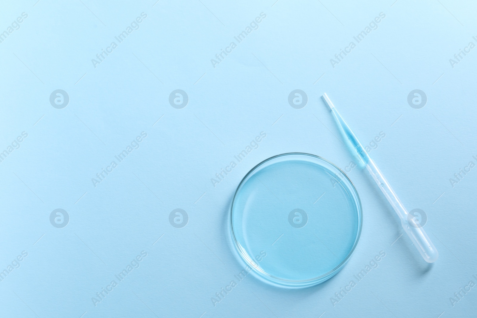 Photo of Transfer pipette and petri dish on light blue background, top view. Space for text