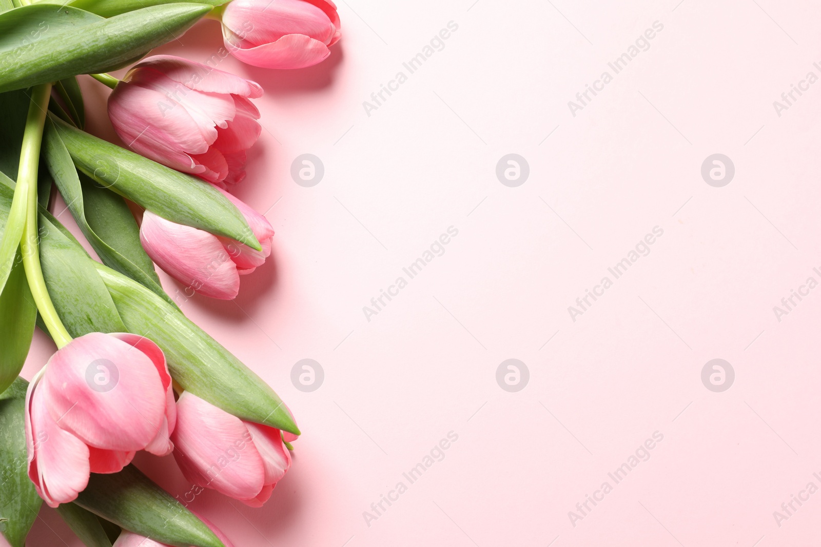 Photo of Happy Mother's Day. Beautiful tulips on pink background, flat lay. Space for text