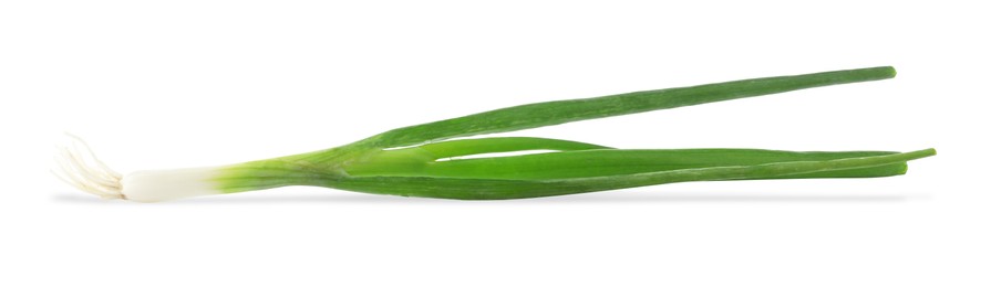 Photo of Fresh green spring onion isolated on white