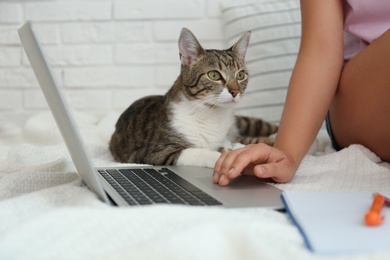 Young woman with cat working on laptop, closeup. Home office concept