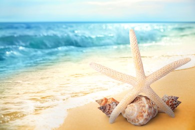 Image of Starfish and shells on sandy beach near sea, space for text