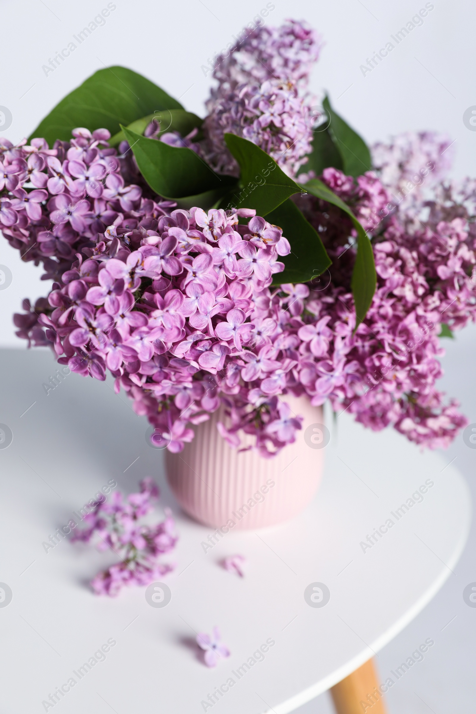 Photo of Beautiful lilac flowers in vase on white table