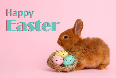 Adorable fluffy bunny and decorative nest with painted eggs on pink background. Happy Easter 