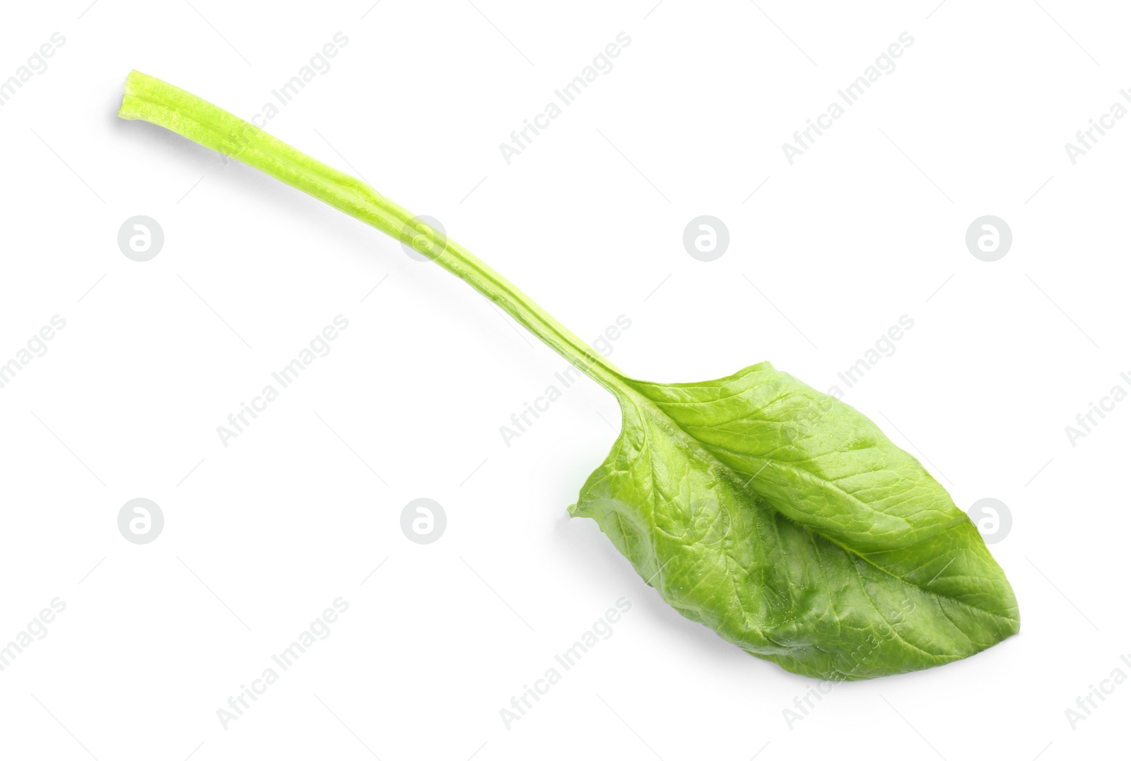 Photo of Fresh leaf of spinach isolated on white, top view