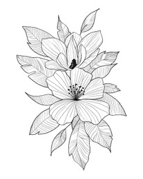 Beautiful flowers with leaves on white background. Black and white illustration