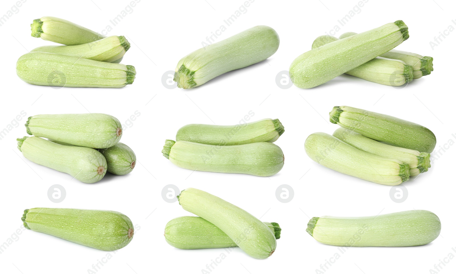 Image of Set of fresh whole squashes on white background