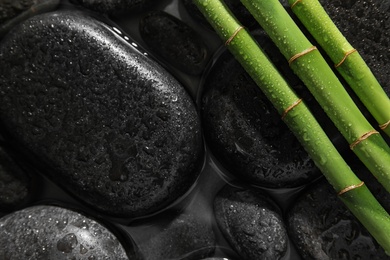 Photo of Bamboo branches and spa stones in water, top view. Space for text