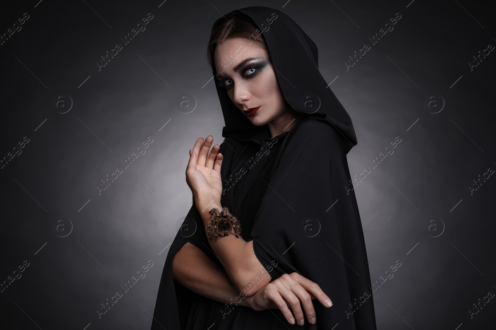 Photo of Mysterious witch with spooky spider on dark background