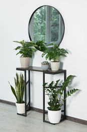 Photo of Stylish round mirror on white wall over table with houseplants in room