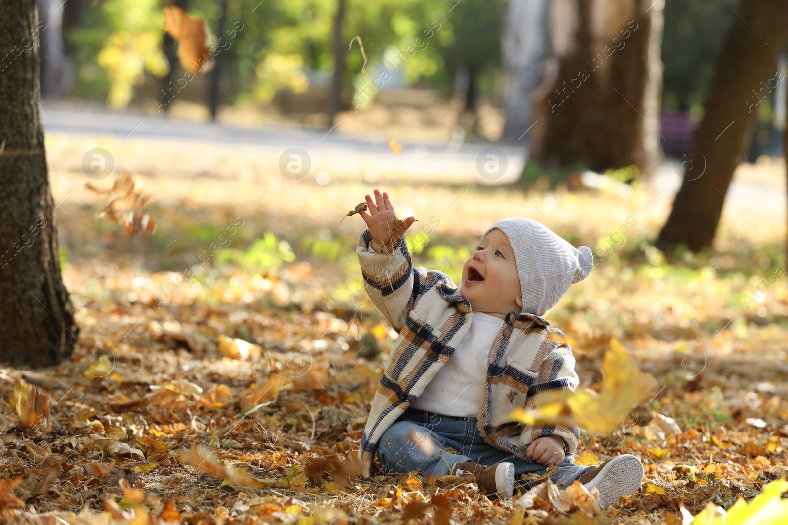 Photo of Cute little child on ground with dry leaves in autumn park, space for text