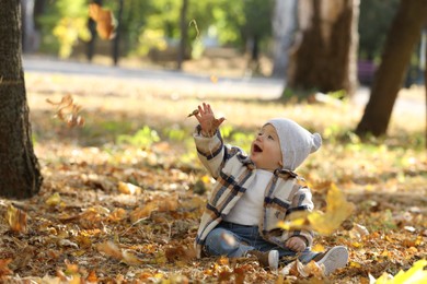 Cute little child on ground with dry leaves in autumn park, space for text