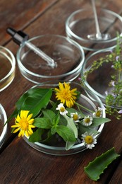 Photo of Petri dishes and plants on wooden table