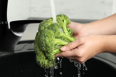 Woman washing fresh green broccoli in kitchen sink, closeup