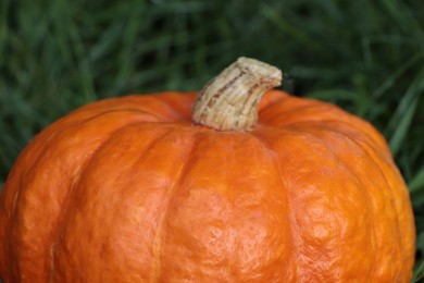 Photo of Ripe orange pumpkin among green grass outdoors, closeup