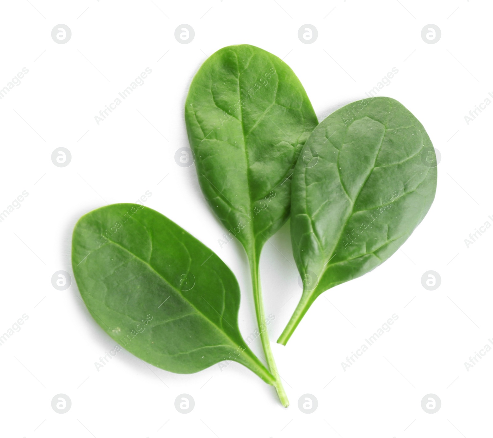 Photo of Fresh green leaves of healthy baby spinach on white background, top view