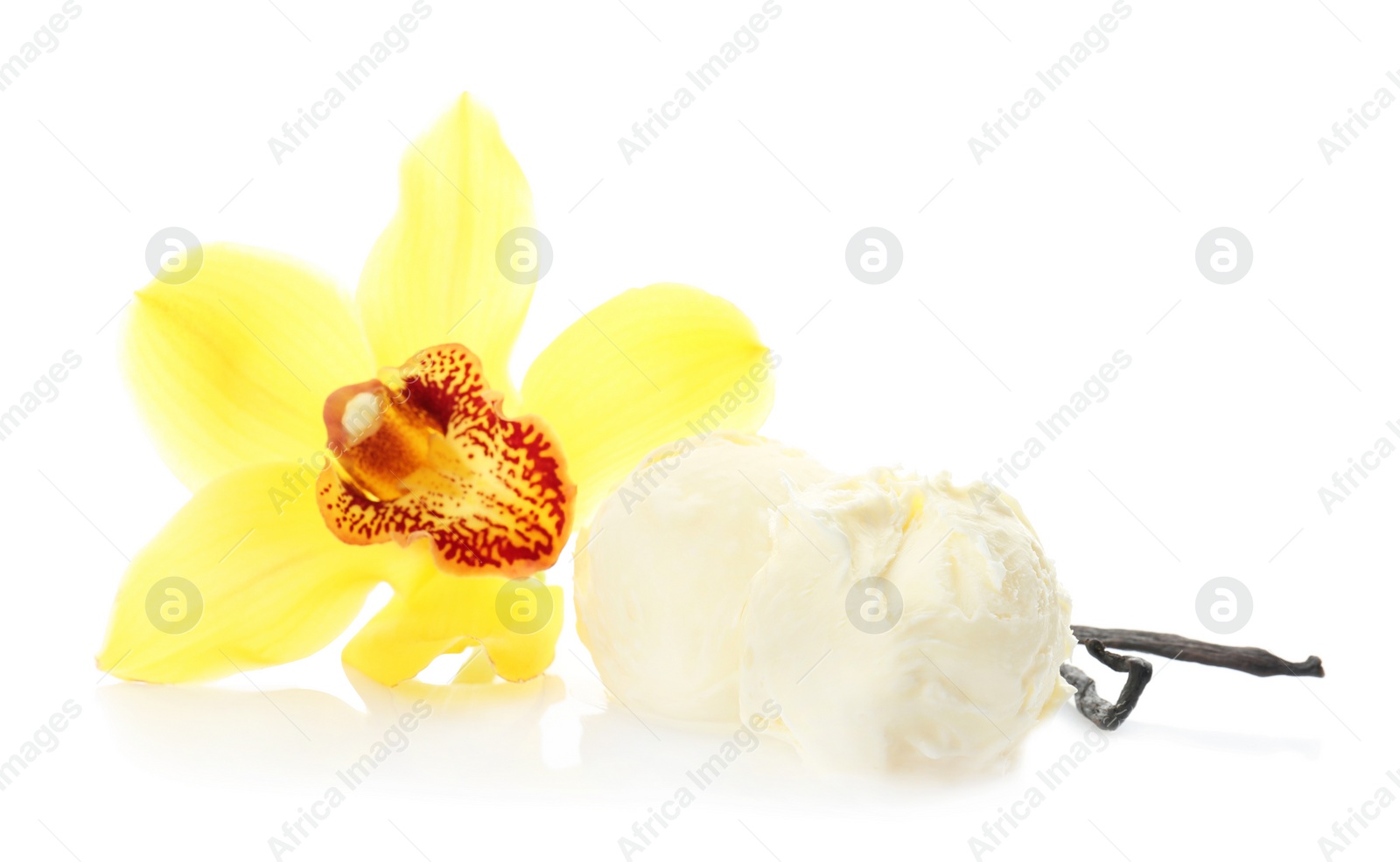 Photo of Balls of tasty vanilla ice cream and flower on white background