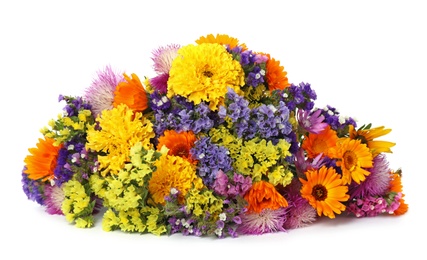 Photo of Bunch of beautiful wild flowers on white background