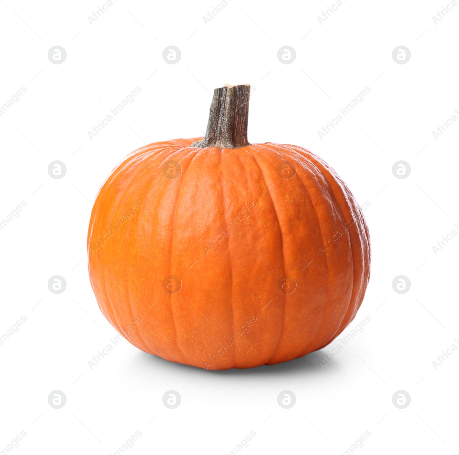 Photo of Ripe orange pumpkin isolated on white. Halloween decor