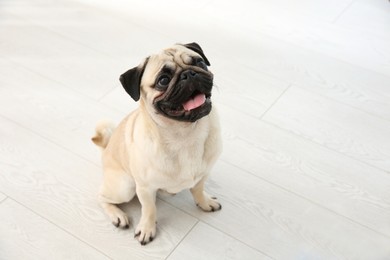 Photo of Cute pug dog sitting on floor indoors. Animal adoption