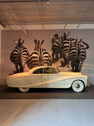 Hague, Netherlands - November 8, 2022: Beautiful view of white retro car in Louwman museum