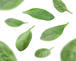 Fresh green spinach leaves falling on white background