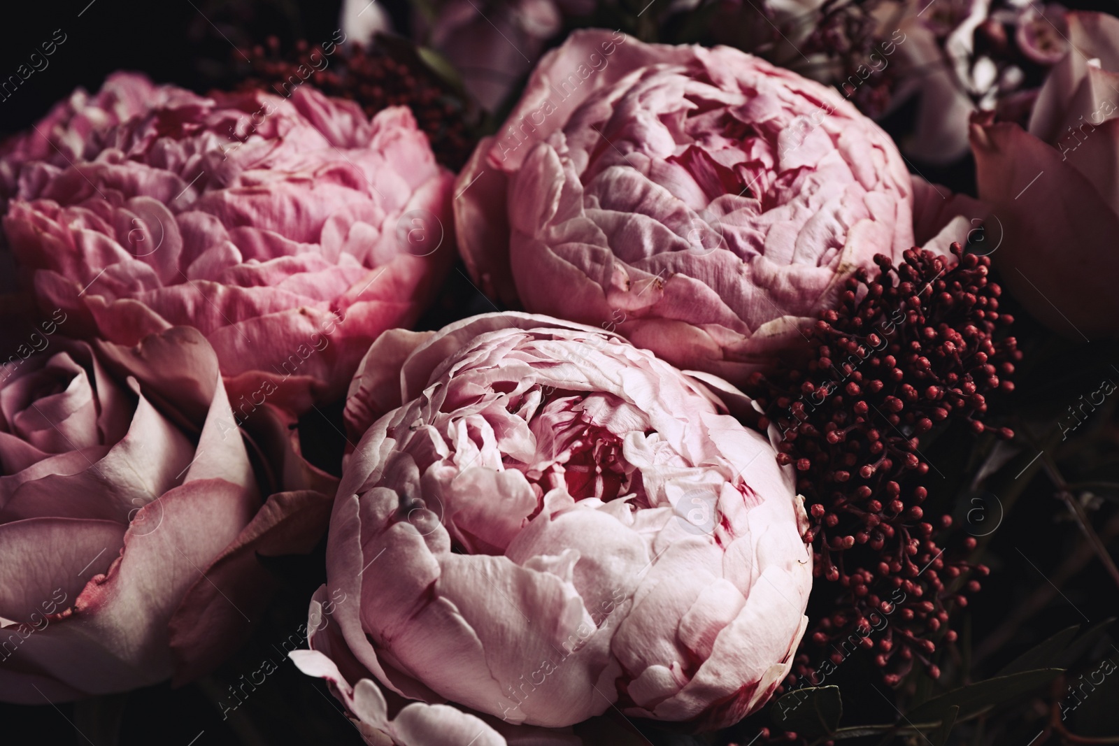 Photo of Beautiful bouquet of different flowers, closeup. Floral card design with dark vintage effect