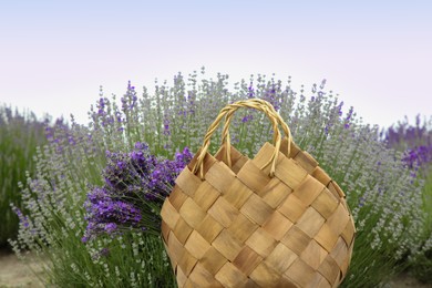 Photo of Wicker bag with beautiful lavender flowers in field
