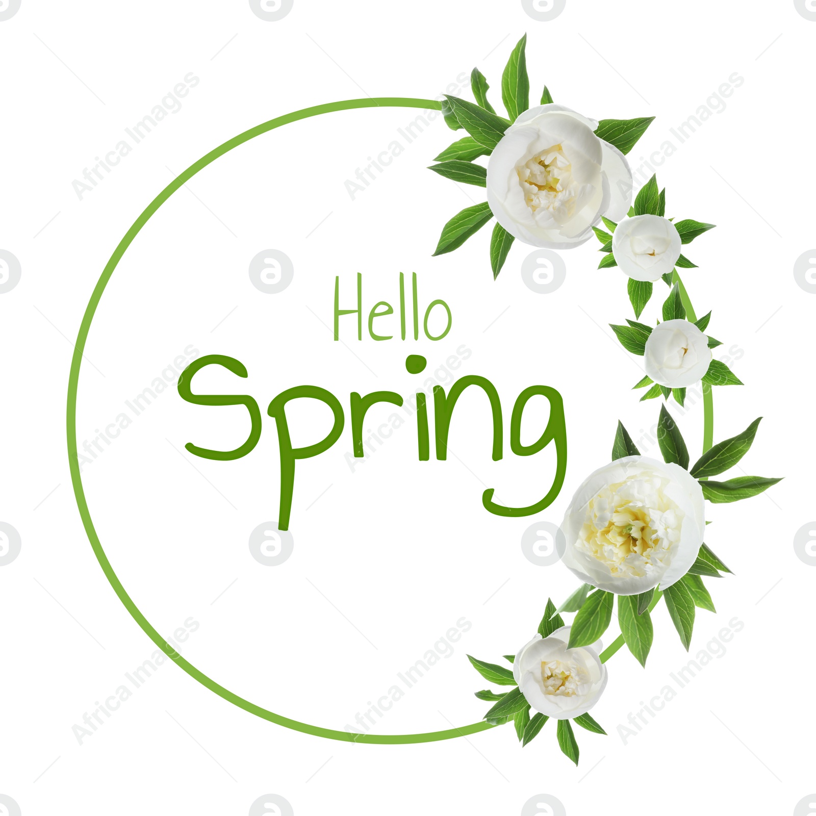 Image of Hello Spring card. White peonies and green leaves on white background