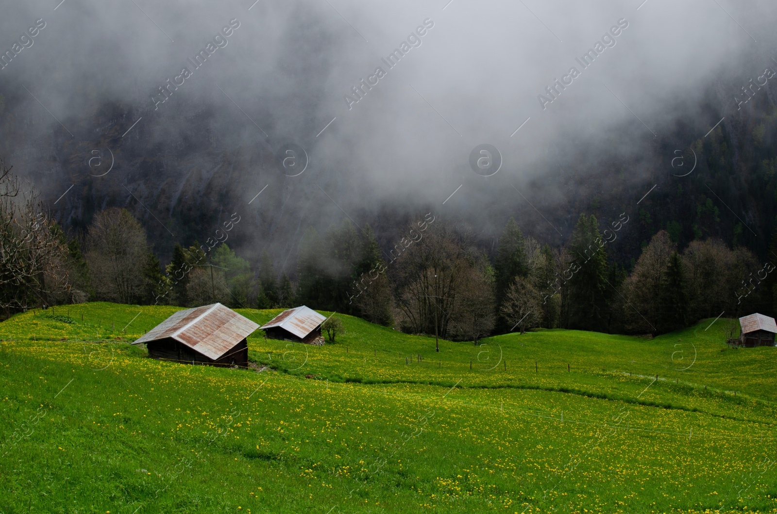 Photo of Picturesque view of valley with buildings near forest covered by fog