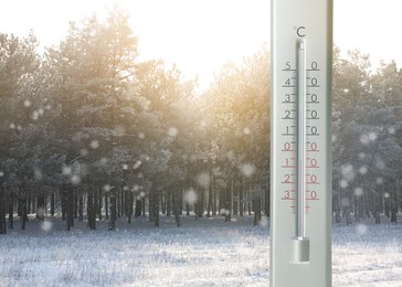 Image of Weather thermometer and beautiful forest covered with snow on background, space for text