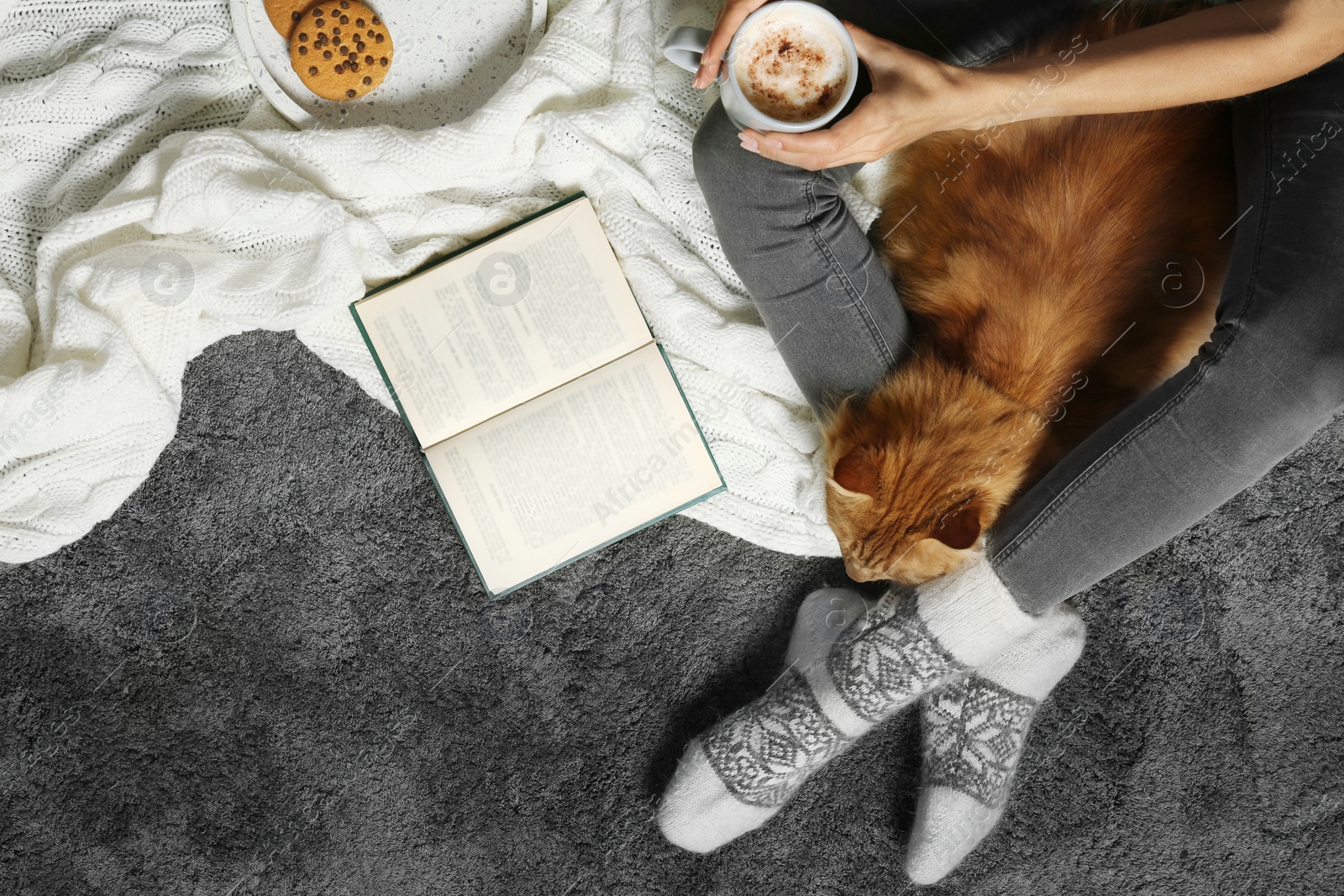 Photo of Woman with cute red cat and book on grey carpet, top view