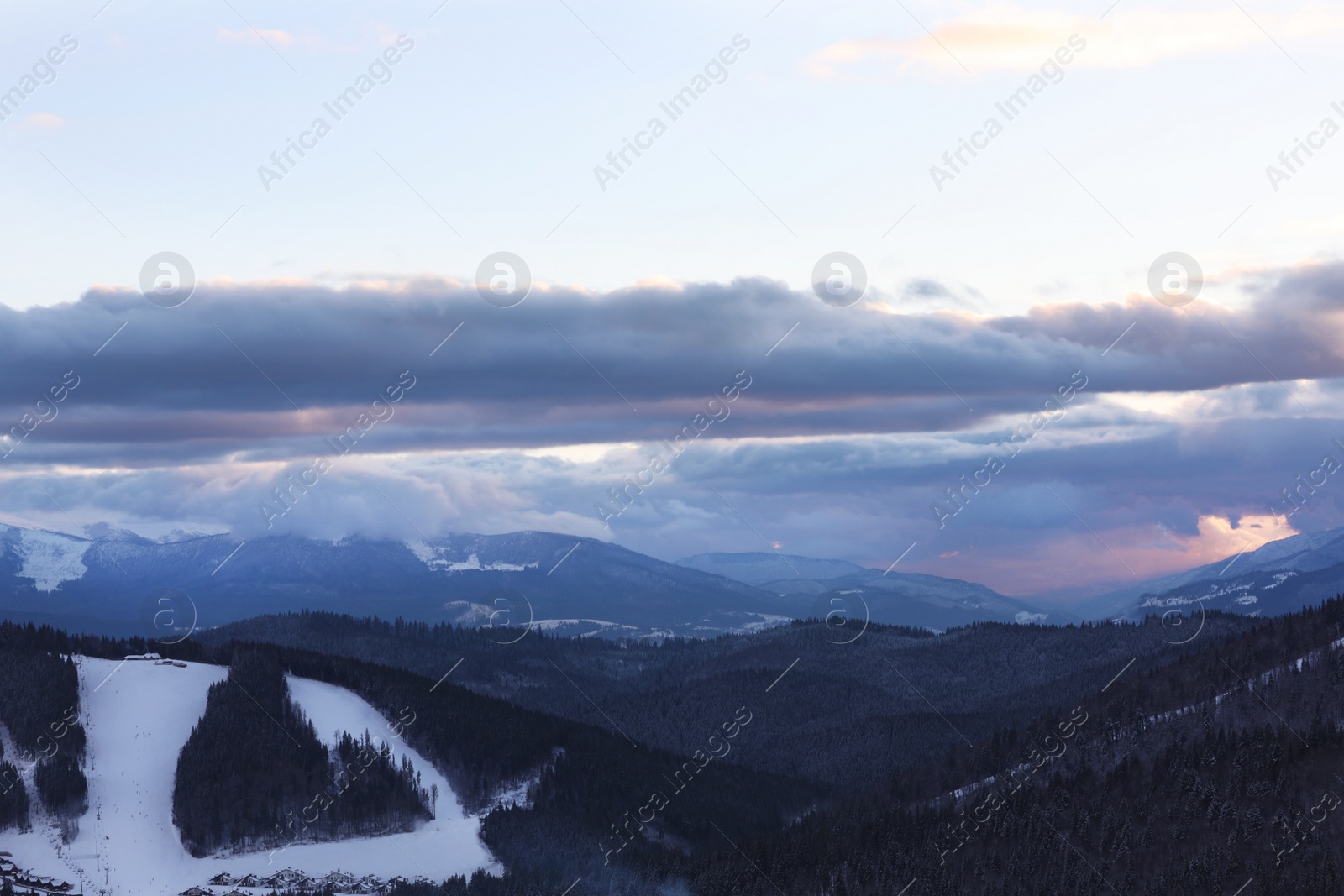 Photo of Beautiful mountain landscape with forest in winter