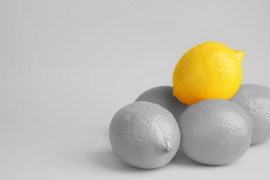 Image of Fresh ripe lemons on light grey background, space for text. Black and white tone with selective color effect
