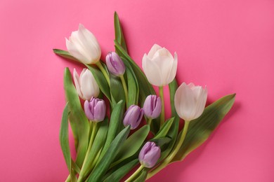 Photo of Many beautiful tulips on pink background, flat lay